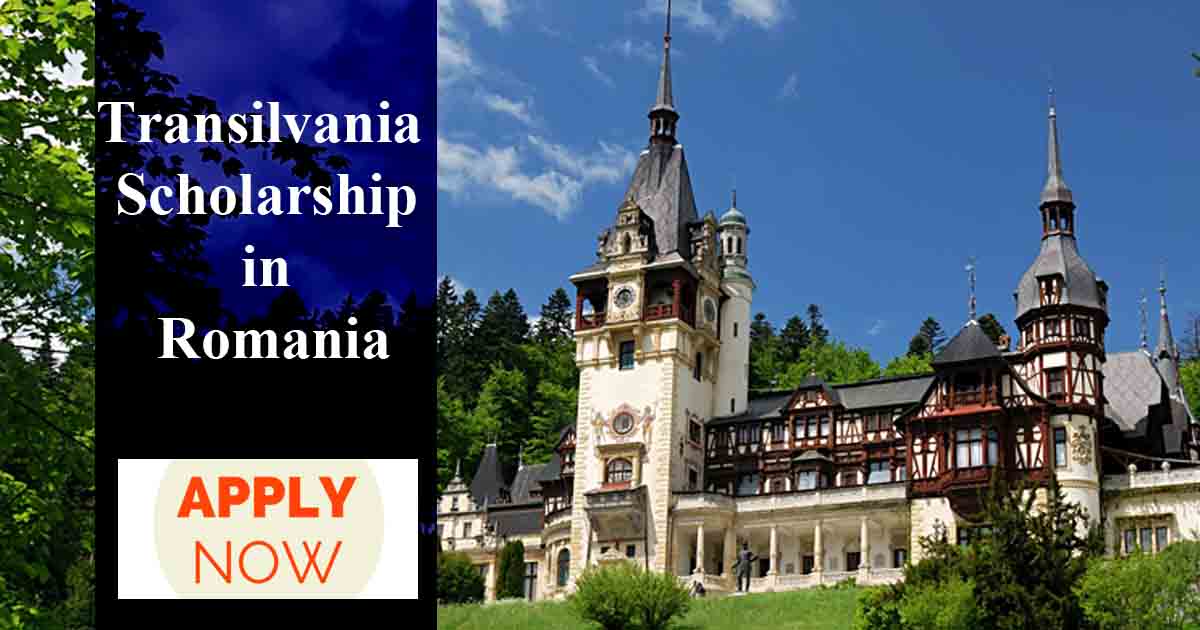 Transilvania Academica scholarship