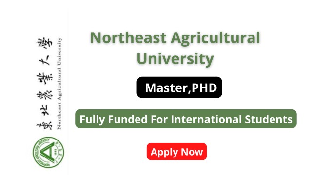 Northeast Agricultural University scholarship